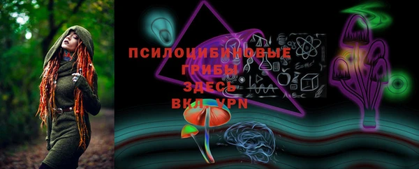 крисы Алексеевка