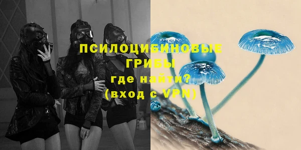 мяу мяу мука Алзамай