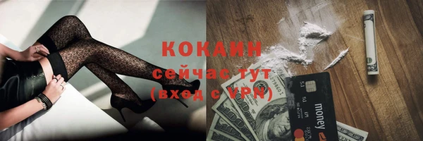 мяу мяу мука Алзамай
