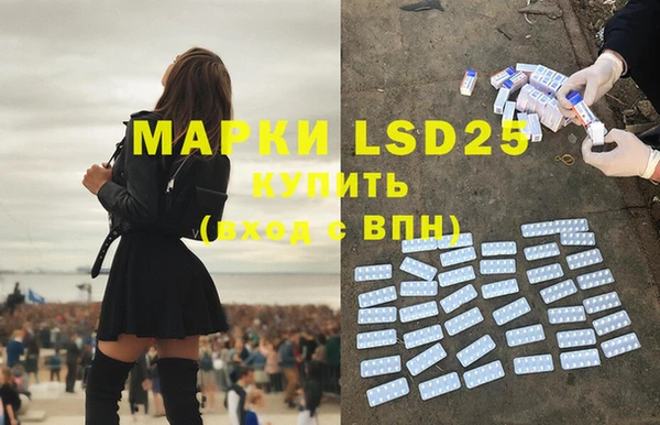 мяу мяу мука Алзамай