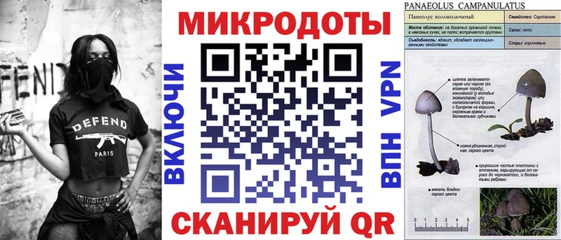 купить закладку  MEGA маркетплейс  Псилоцибиновые грибы мухоморы  Москва 